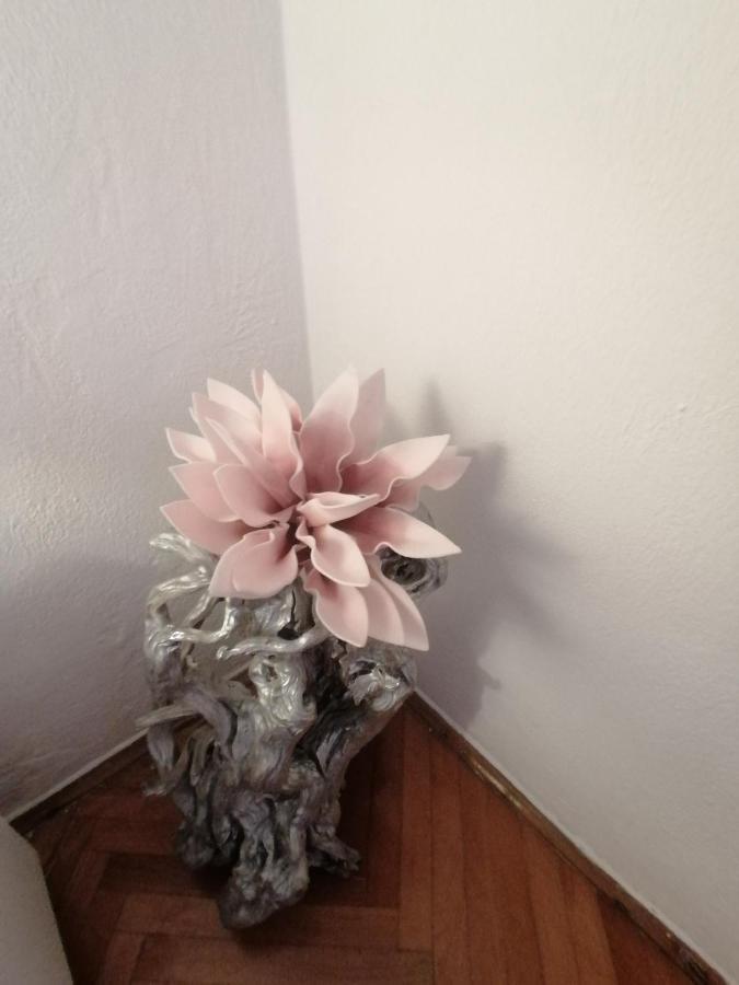 חוואר Apartmani Niki Hvar מראה חיצוני תמונה